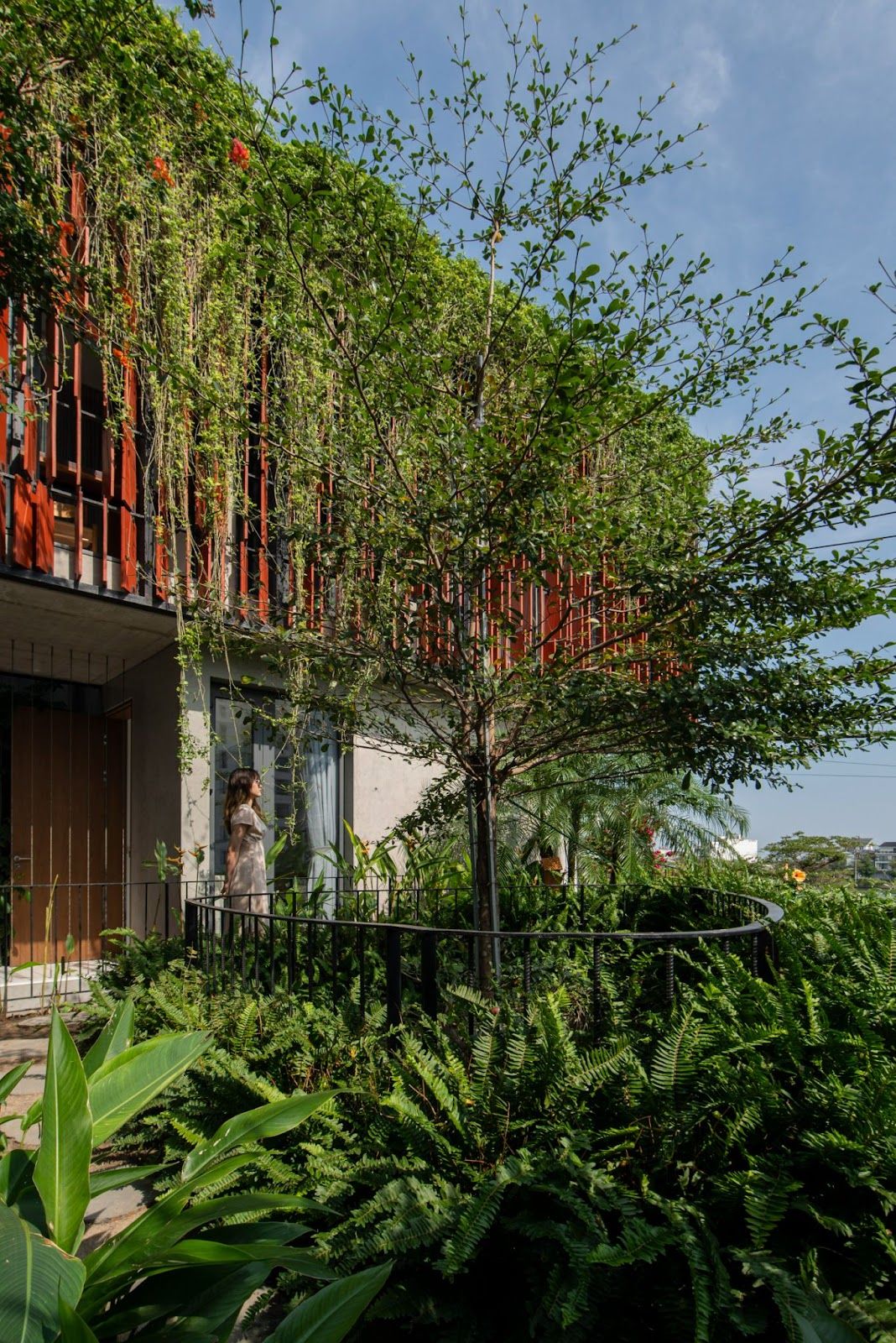 Ngôi nhà có khu vườn treo lơ lửng ở TP Quy Nhơn