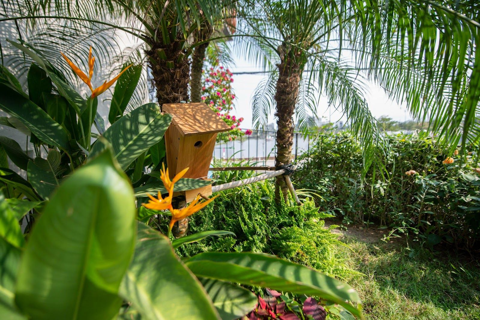 Ngôi nhà có khu vườn treo lơ lửng ở TP Quy Nhơn
