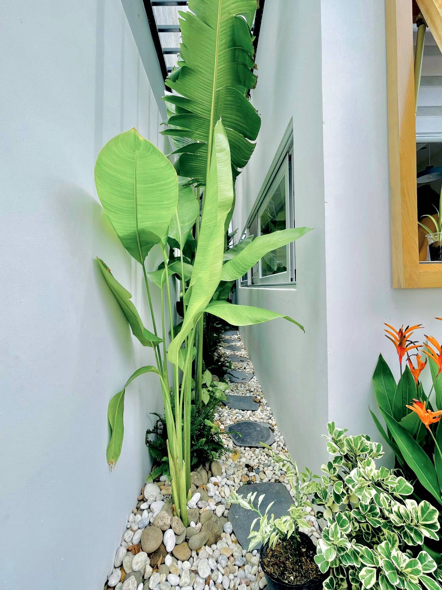 Vu's House với thiết kế công năng đầy ‘phá cách’ | Minimal Design