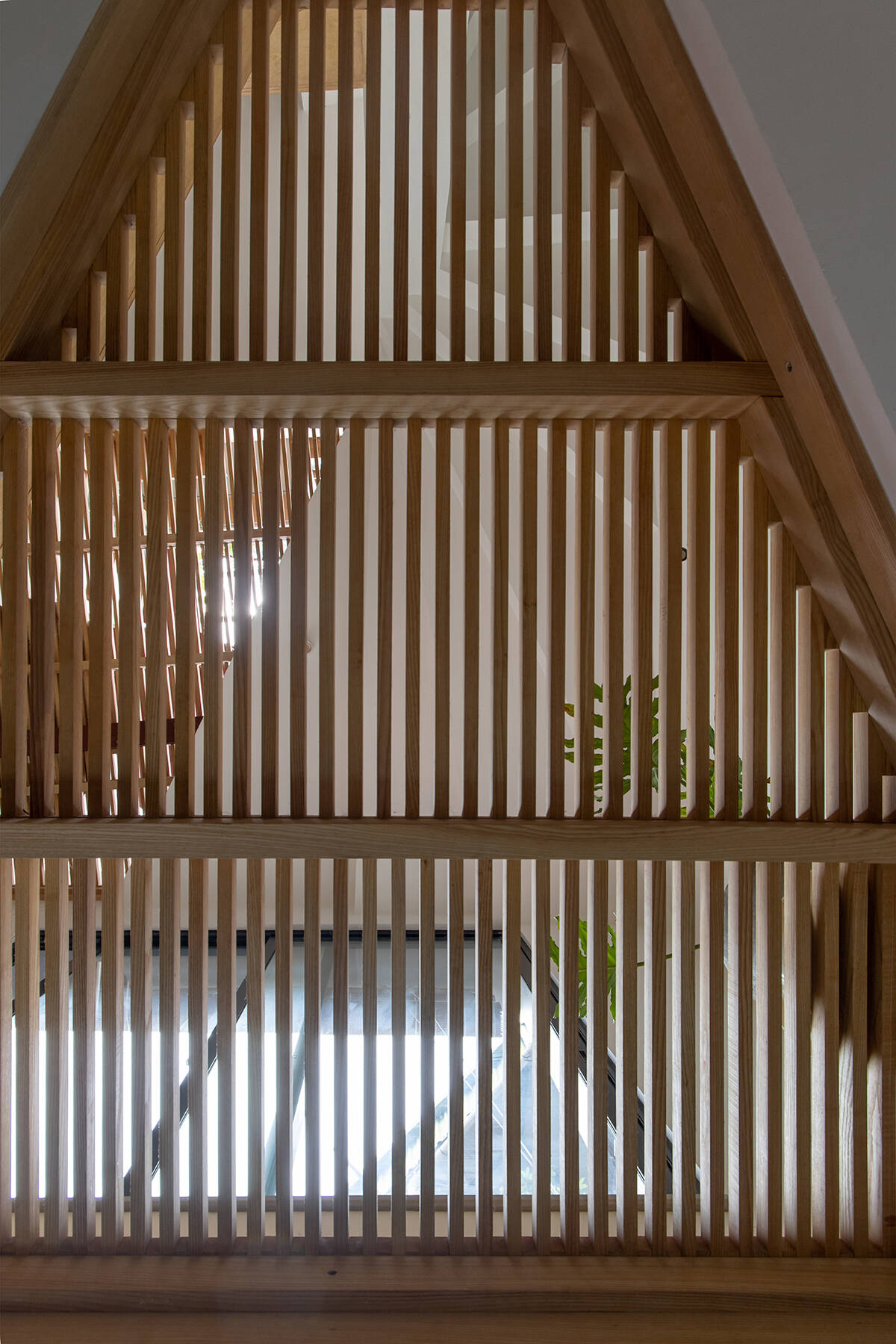 Loli House: Phá vỡ giới hạn nhà ở diện tích nhỏ | T+m design office