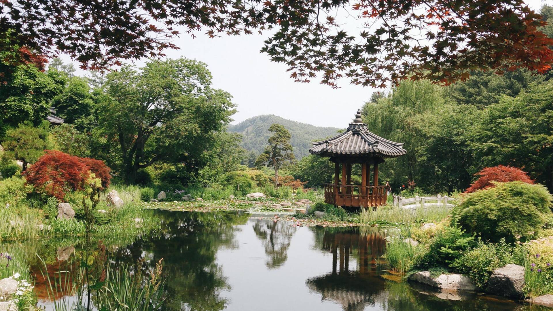 kienvietnet-garden-of-morning-calm-han-quoc.jpg