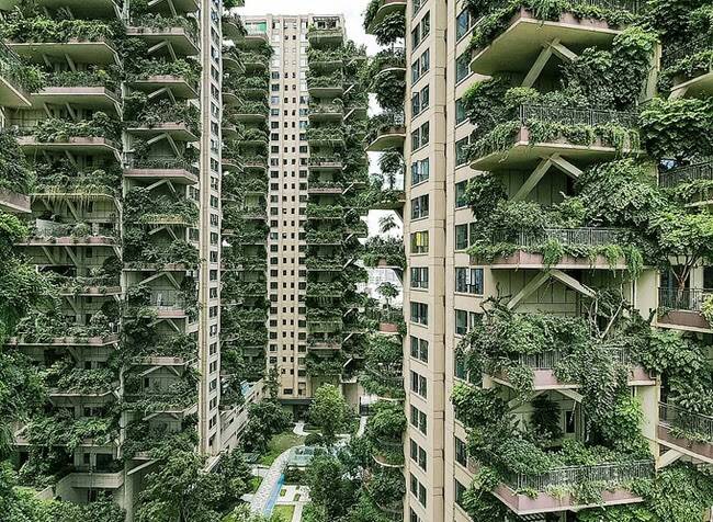 kienvietnet-Qiyi-City-Forest-Garden.jpg