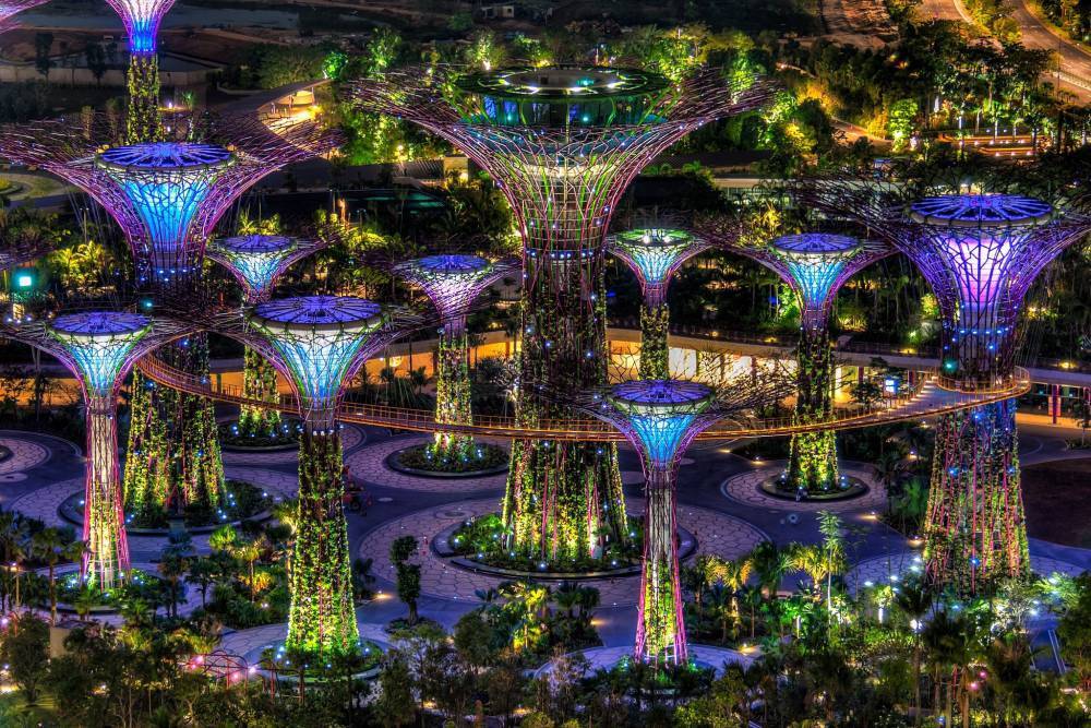 kienvietnet-super-trees-singapore.jpg