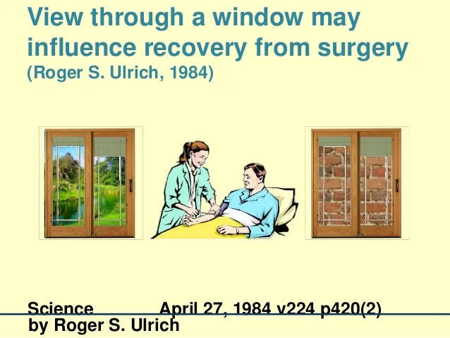 kien-viet-kien-truc-chua-lanh-khi-cong-trinh-ung-dung-yeu-to-tri-lieu-tu-nhien (1).jpeg