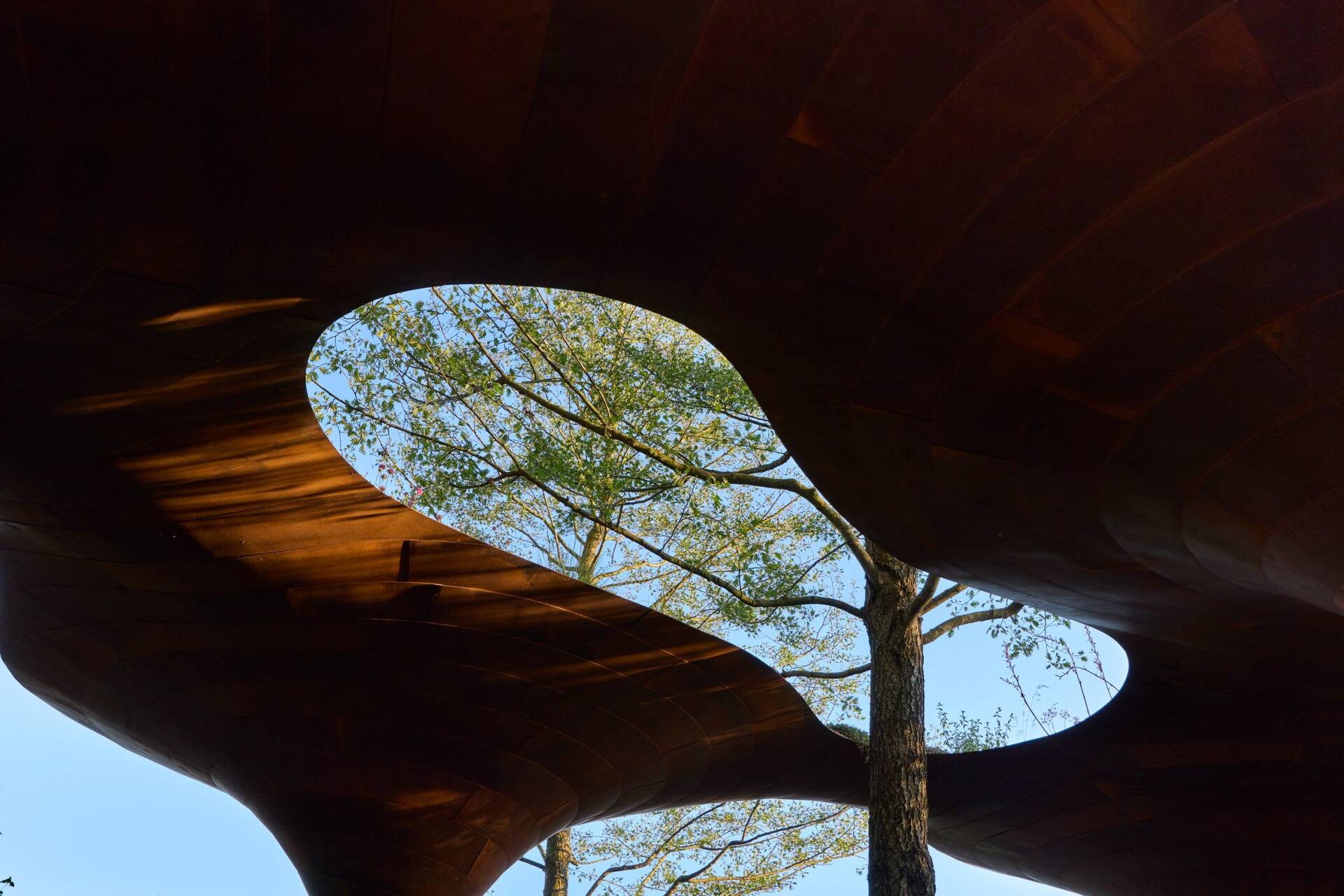 kienviet-pavilion thu nước mưa – hướng đi mới cho thiết kế bền vững-17.jpg