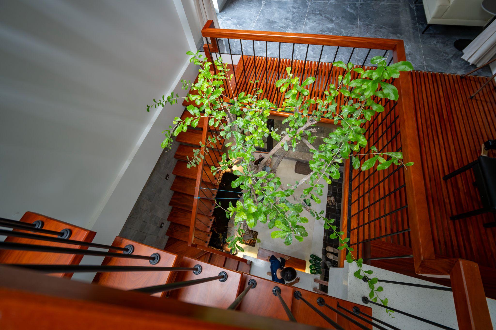 nha-thanh-ha-nha-pho-voi-loi-canh-quan-xanh-tmta-architecture_6.jpg