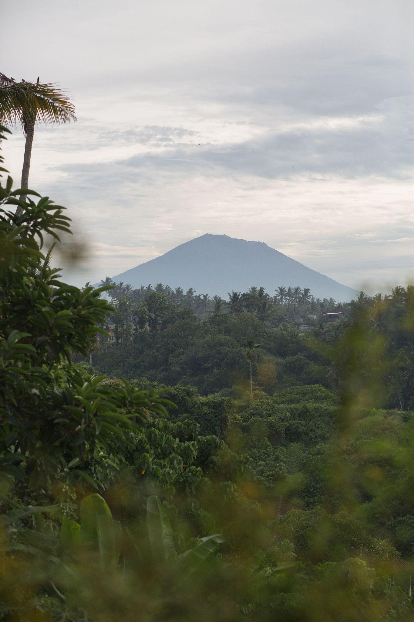 cai-tao-nha-co-bali-rumah-purnama-hoi-sinh-ngoi-nha-100-nam-tuoi-giua-thien-nhien_2.jpg