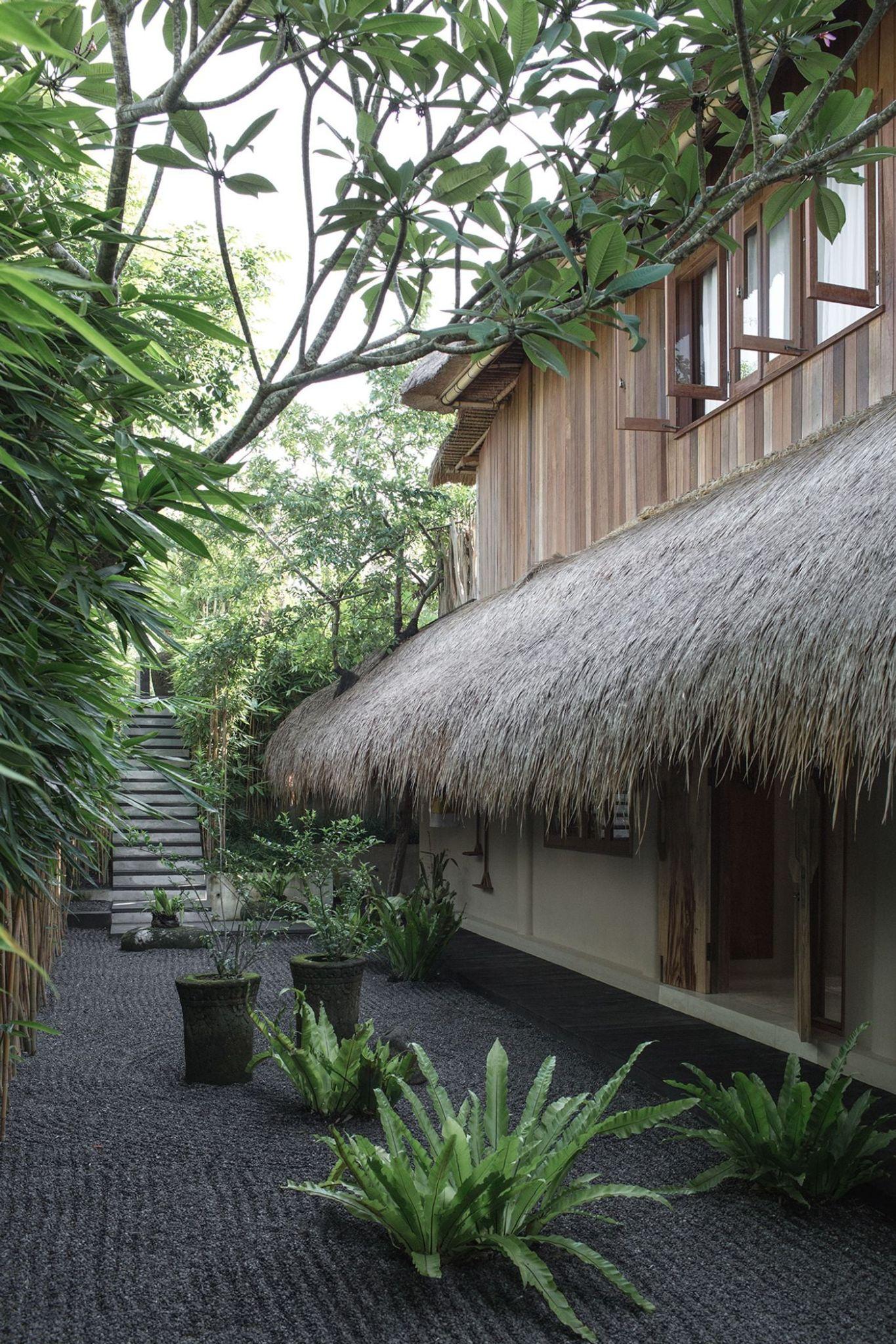 cai-tao-nha-co-bali-rumah-purnama-hoi-sinh-ngoi-nha-100-nam-tuoi-giua-thien-nhien_3.jpg