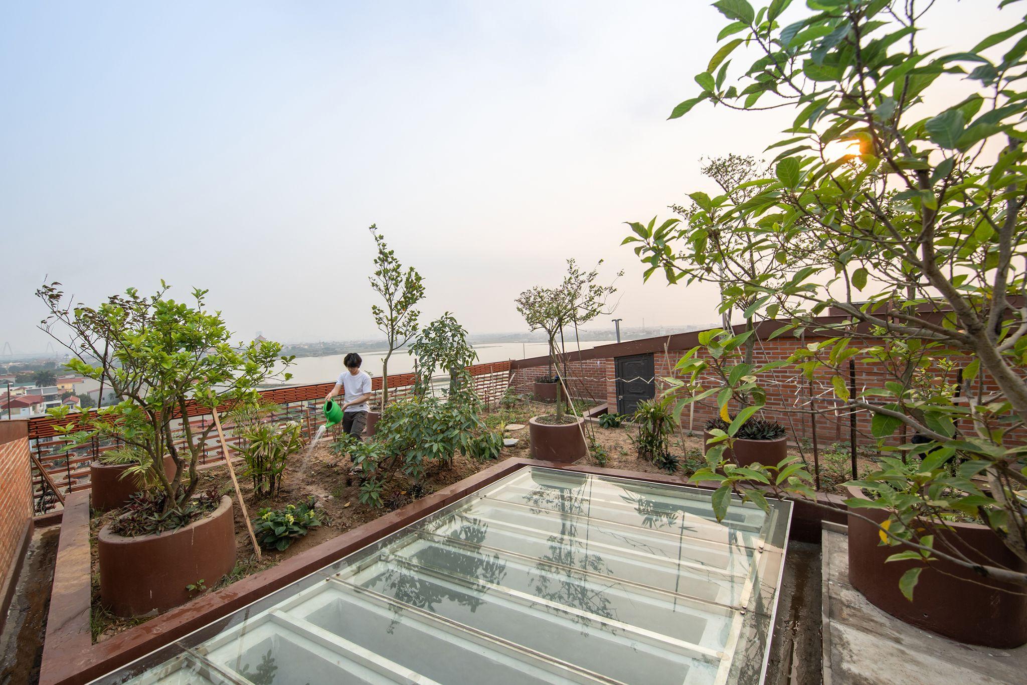 dong-chay-nhiet-doi-nha-o-da-nang-ket-hop-mang-ngoi-va-gach-xep-tai-dong-anh-hp-architects_8.jpg