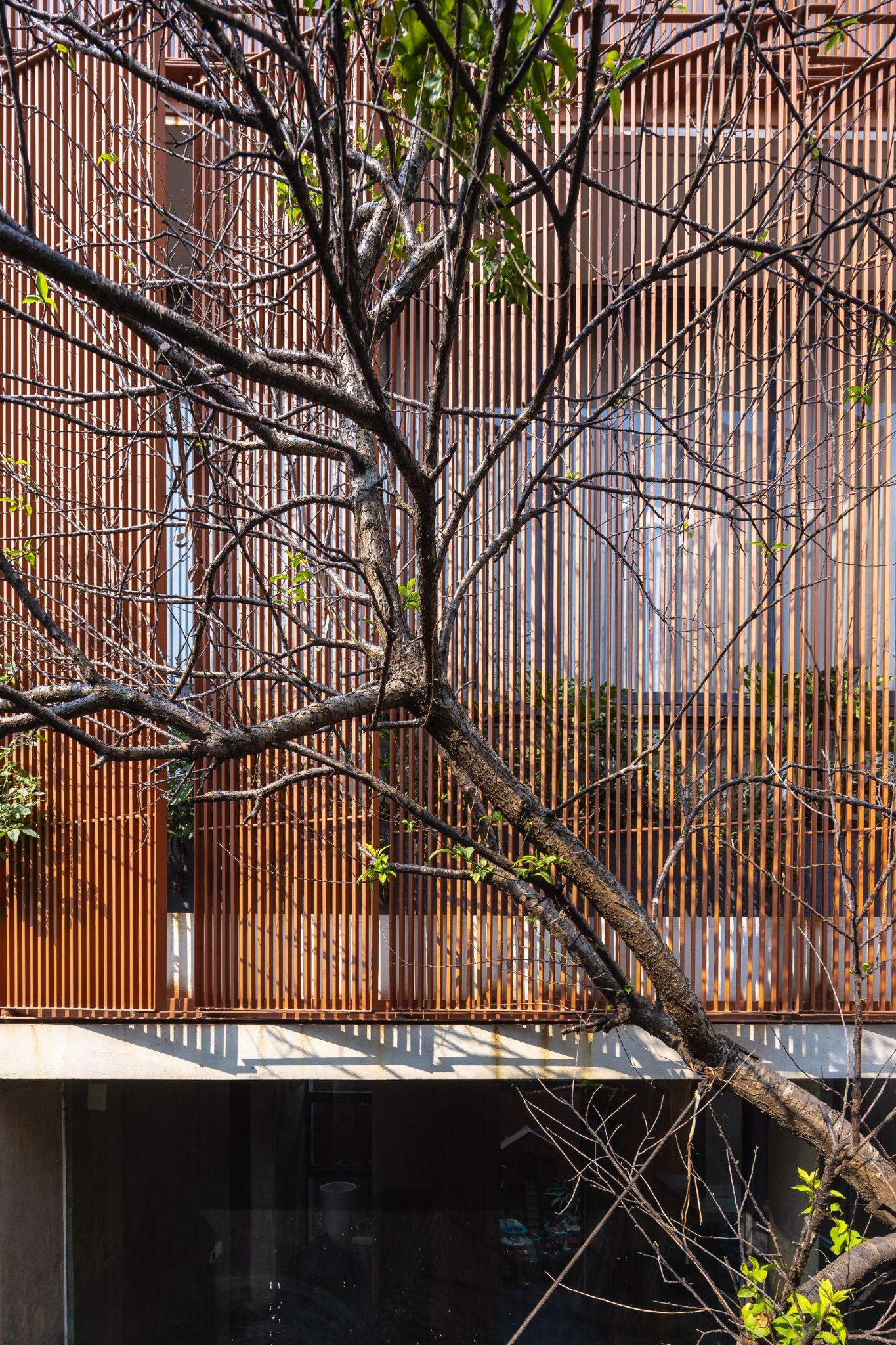 nb01-house-kien-tao-trat-tu-khong-gian-tren-nen-ky-uc-tnt-architecture_30.jpg