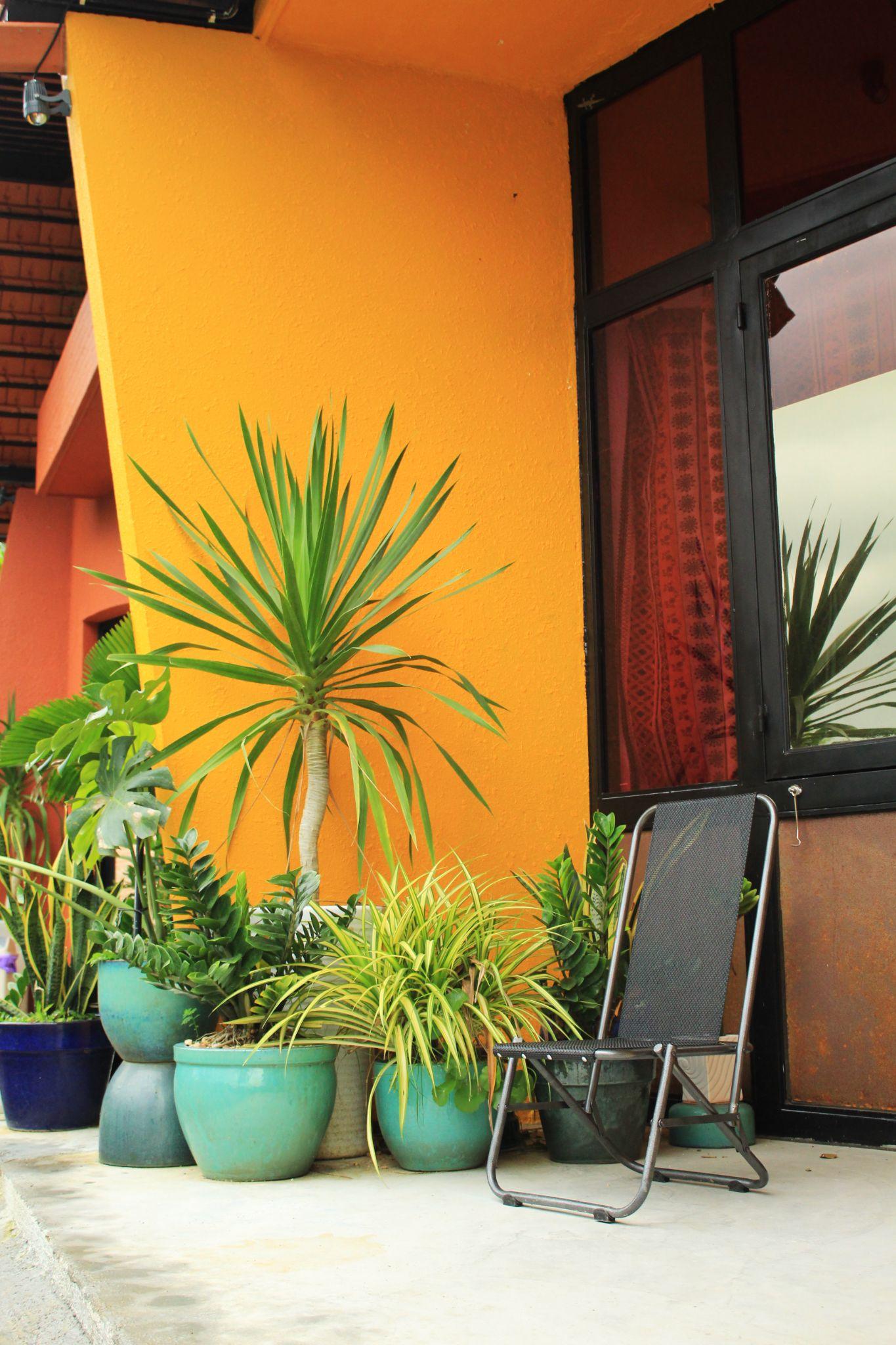 dacha-homestay-gam-mau-cua-tu-nhien-nguyen-da-architect_11.jpg