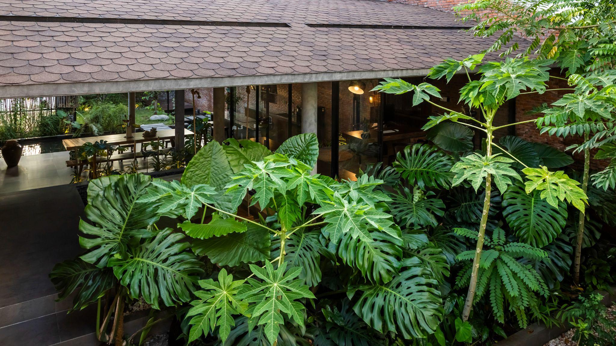 mac-casa-ngoi-nha-khong-cua-xoa-nhoa-ranh-gioi-giua-thien-nhien-va-khong-gian-song-creative-architects_6.jpg