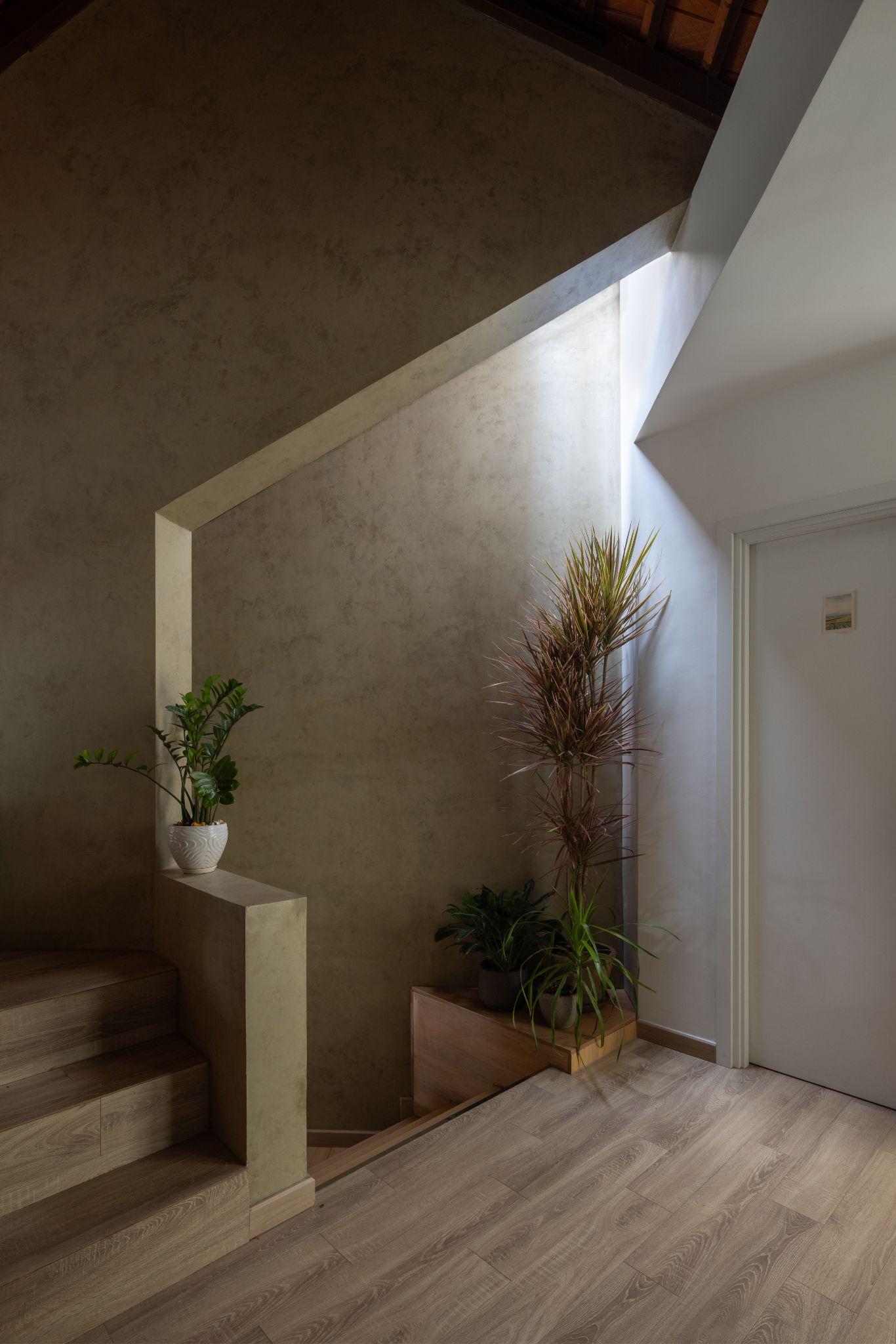 the-roof-house-ngoi-nha-77m2-va-triet-ly-song-vua-du-trung-nguyen-architects_23.jpg
